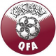 Qatar VM 2022 trøje Børn
