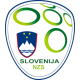 Slovenien Fodboldtrøje