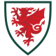 Wales EM 2020 trøje Mænd